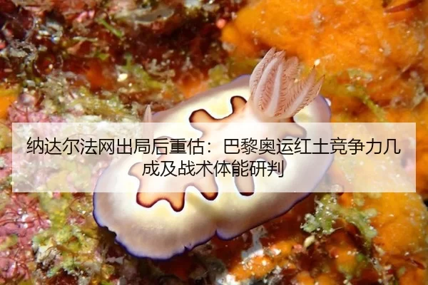 na-da-er-fa-wang-chu-ju-hou-zhong-gu-ba-li-ao-yun-hong-tu-jing-zheng-li-ji-cheng-ji-zhan-shu-ti-neng-yan-pan-2-172.jpg