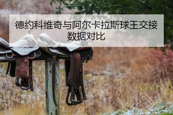 德约科维奇与阿尔卡拉斯球王交接数据对比